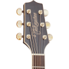 TAKAMINE GN71CEBSB gn71ce-bsb brown sunburst