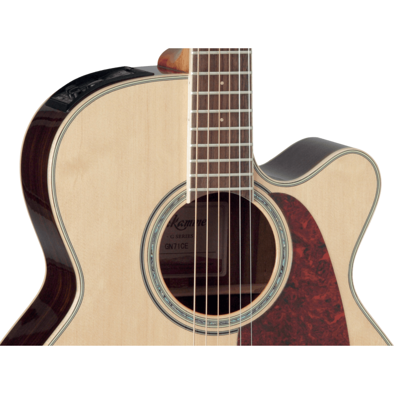 TAKAMINE GN71CENAT gn71ce-nat natural