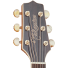 TAKAMINE GN71CENAT gn71ce-nat natural