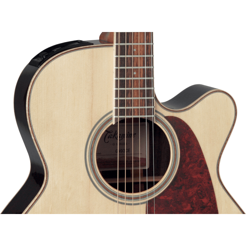TAKAMINE GN93CENAT gn93ce-nat natural