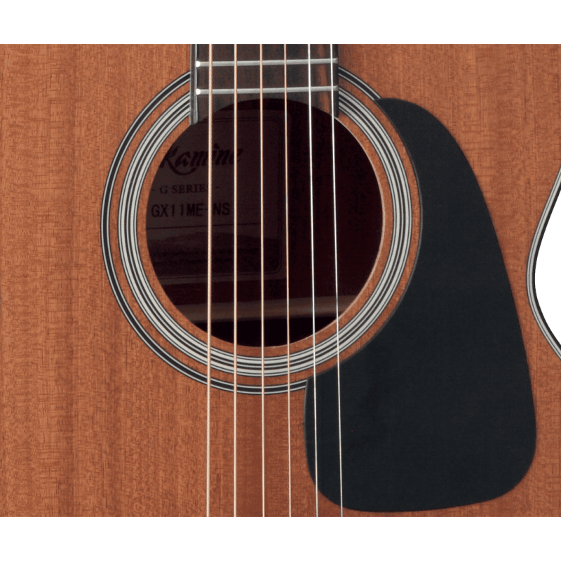 TAKAMINE GX11MENS gx11me-ns natural satin + housse