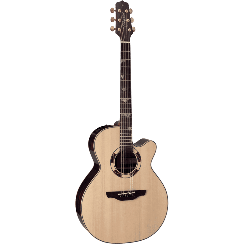 TAKAMINE DSF48C