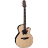 TAKAMINE DSF48C