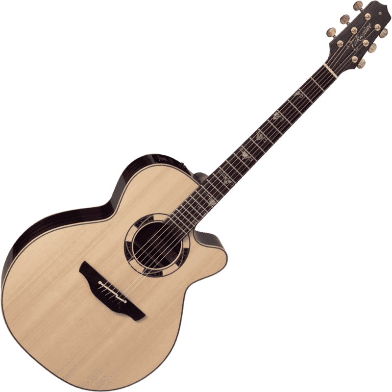 TAKAMINE DSF48C