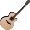 TAKAMINE DSF48C
