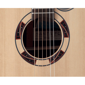 TAKAMINE DSF48C