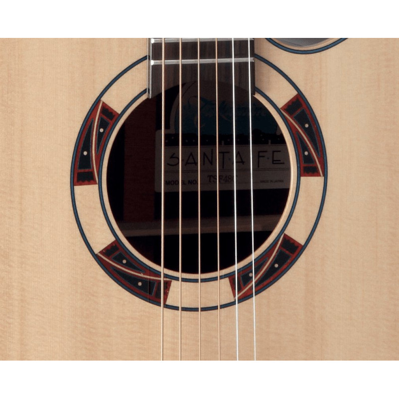 TAKAMINE DSF48C
