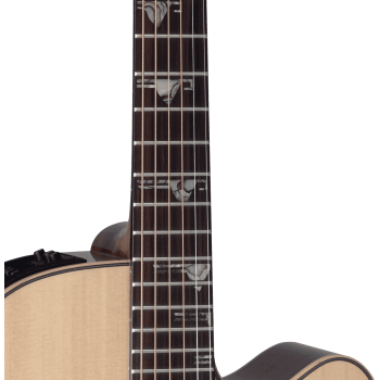 TAKAMINE DSF48C