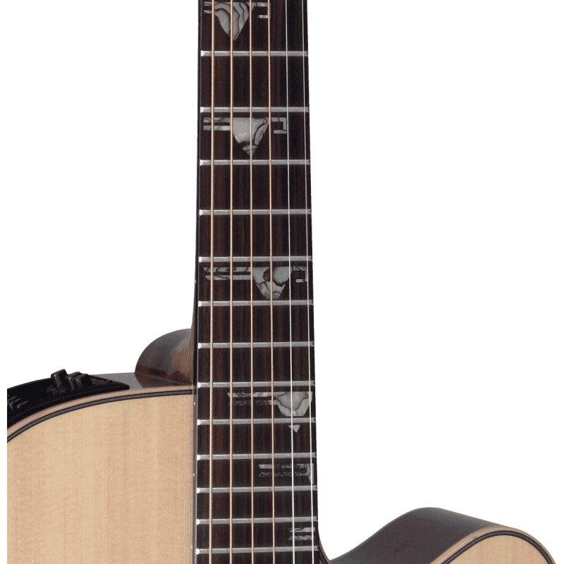 TAKAMINE DSF48C