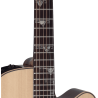 TAKAMINE DSF48C