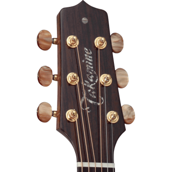 TAKAMINE DSF48C