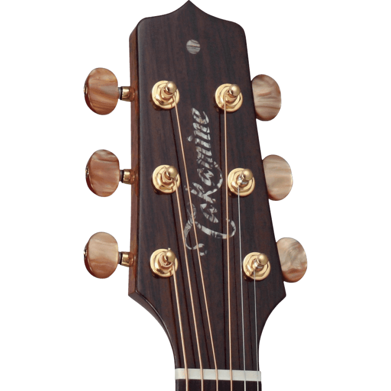 TAKAMINE DSF48C