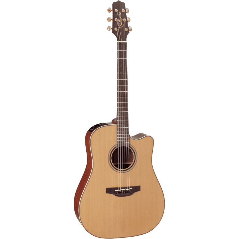 TAKAMINE P3DC p3dc natural satin