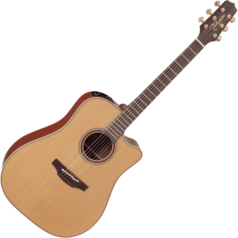 TAKAMINE P3DC p3dc natural satin