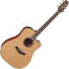 TAKAMINE P3DC p3dc natural satin