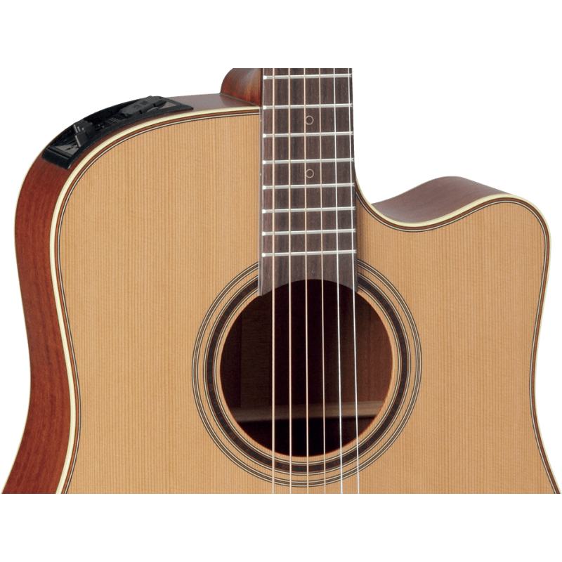 TAKAMINE P3DC p3dc natural satin