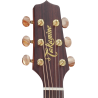 TAKAMINE P3DC p3dc natural satin