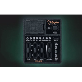 TAKAMINE P3DC p3dc natural satin