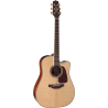 TAKAMINE P4DC p4dc natural gloss