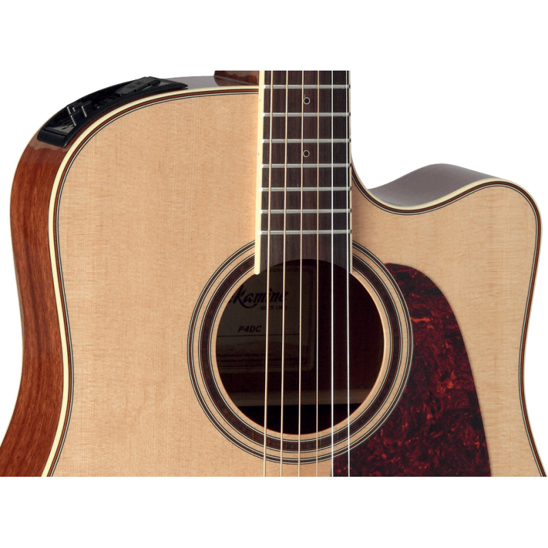 TAKAMINE P4DC p4dc natural gloss