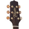 TAKAMINE P4DC p4dc natural gloss