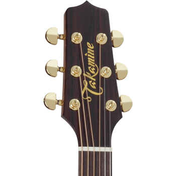 TAKAMINE P5DC p5dc natural gloss
