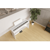 KORG B2SP-WH piano b2sp wh