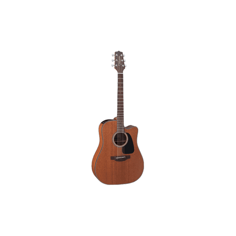 TAKAMINE GD11MCENS gd11mce-ns natural satin