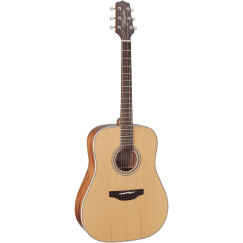TAKAMINE GD20NS gd20-ns natural satin