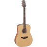 TAKAMINE GD20NS gd20-ns natural satin