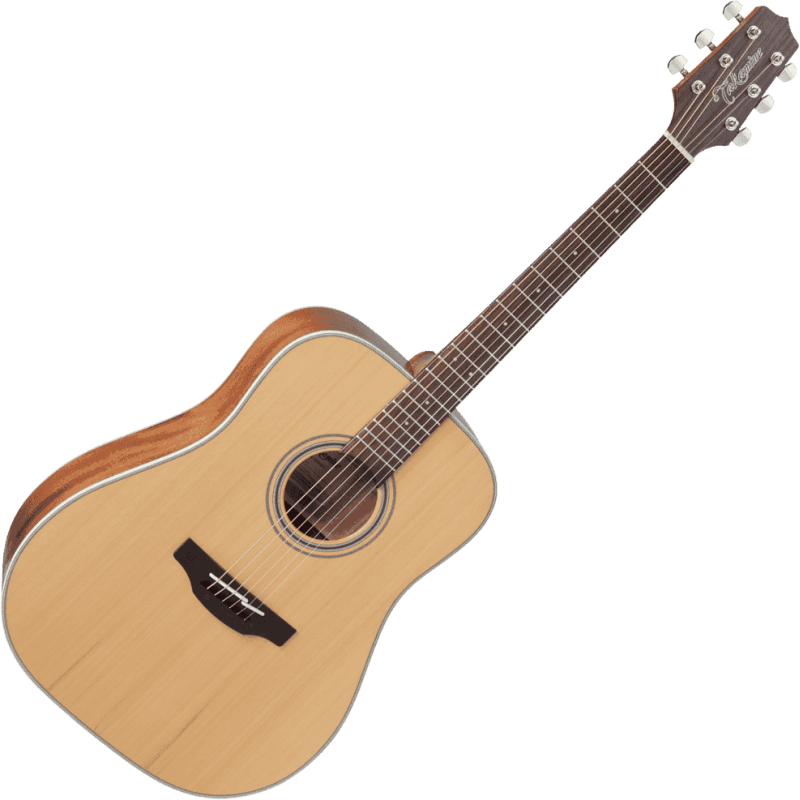 TAKAMINE GD20NS gd20-ns natural satin