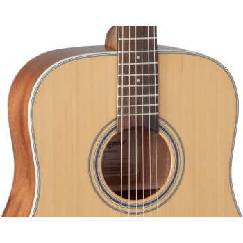 TAKAMINE GD20NS gd20-ns natural satin