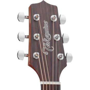 TAKAMINE GD20NS gd20-ns natural satin