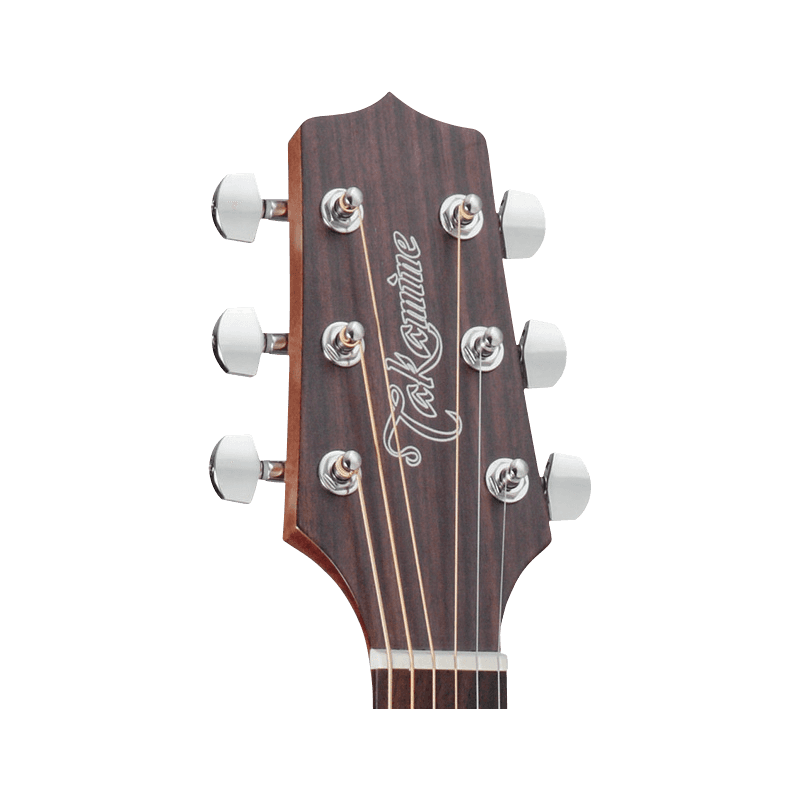TAKAMINE GD20NS gd20-ns natural satin