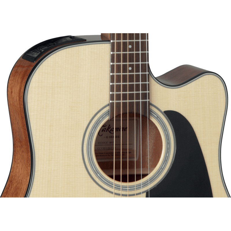 TAKAMINE GD30CENAT gd30ce-nat natural