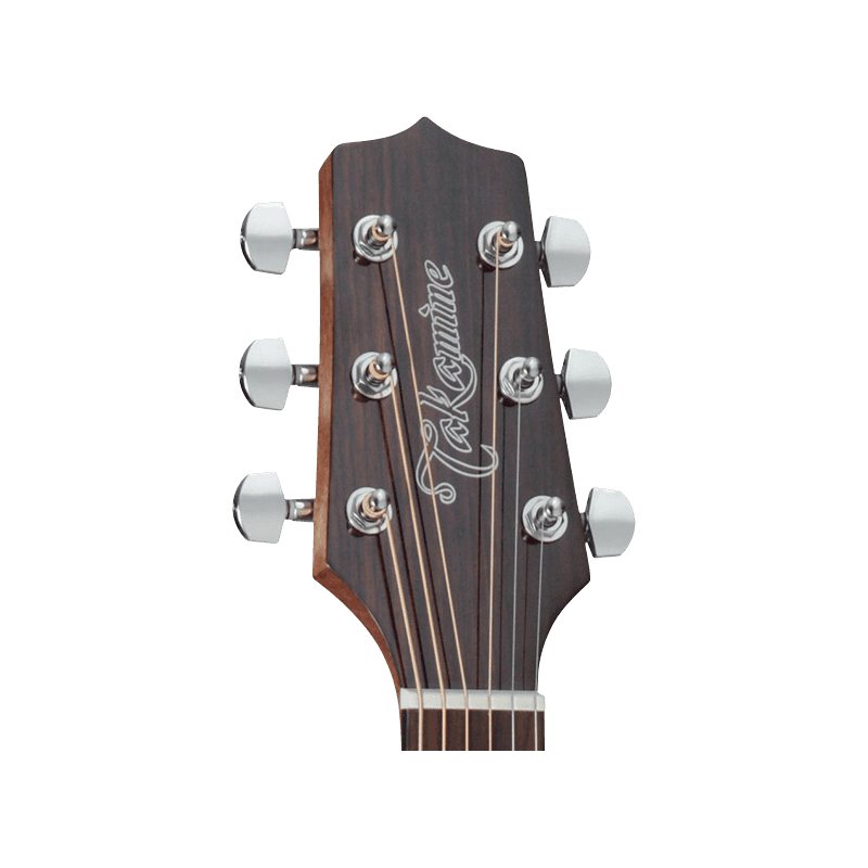 TAKAMINE GD30CENAT gd30ce-nat natural