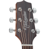 TAKAMINE GD30CENAT gd30ce-nat natural