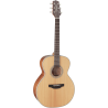 TAKAMINE GN20NS gn20-ns natural satin