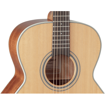 TAKAMINE GN20NS gn20-ns natural satin