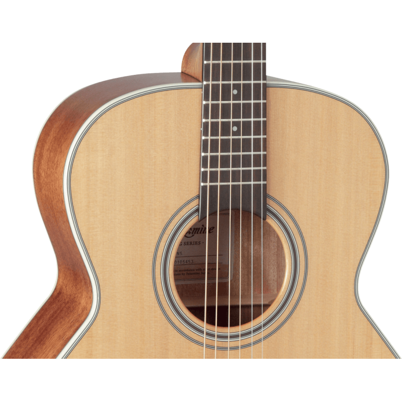 TAKAMINE GN20NS gn20-ns natural satin