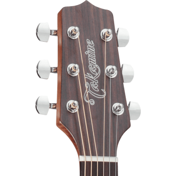 TAKAMINE GN20NS gn20-ns natural satin
