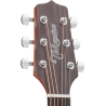 TAKAMINE GN20NS gn20-ns natural satin