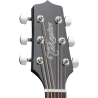 TAKAMINE GN30CEBLK gn30ce-blk black