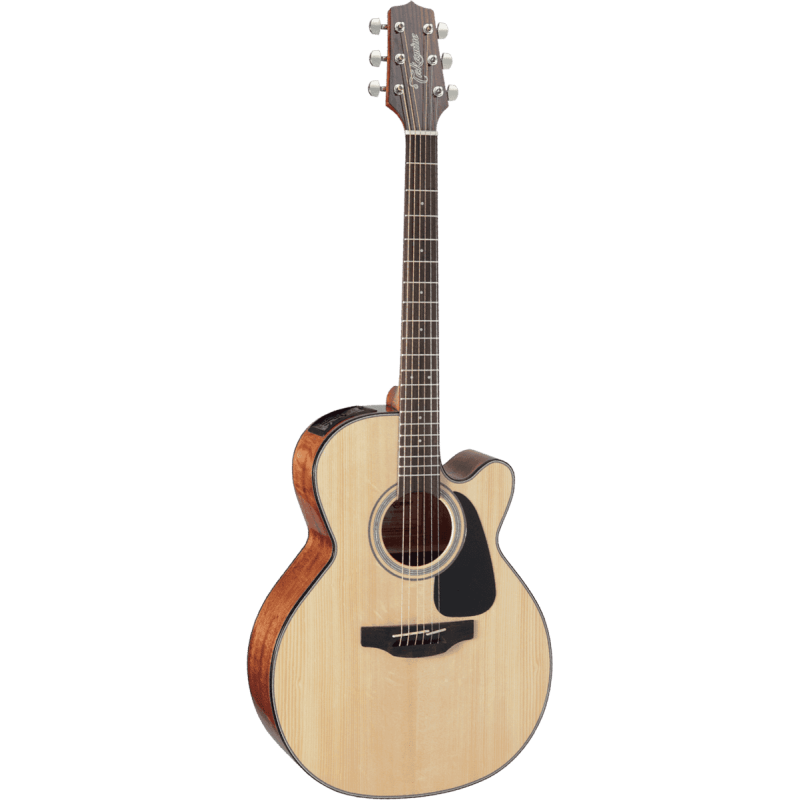 TAKAMINE GN30CENAT gn30ce-nat natural