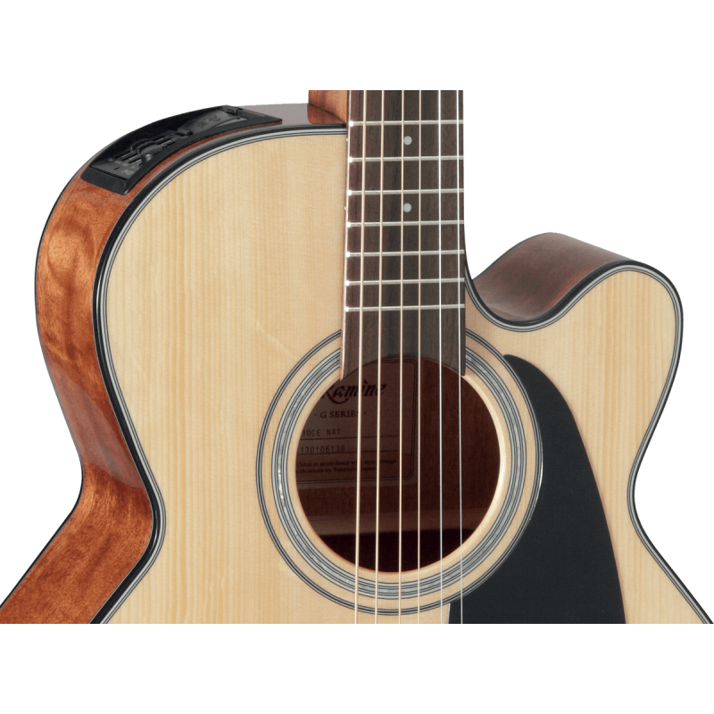 TAKAMINE GN30CENAT gn30ce-nat natural