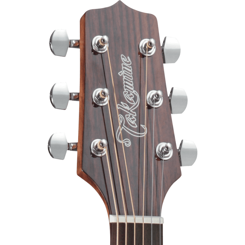 TAKAMINE GN30CENAT gn30ce-nat natural