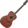 TAKAMINE GY11MENS new yorker gy11 electro natural satin