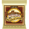 ERNIE BALL 2003 earthwood 80/20 bronze medium light 12-54