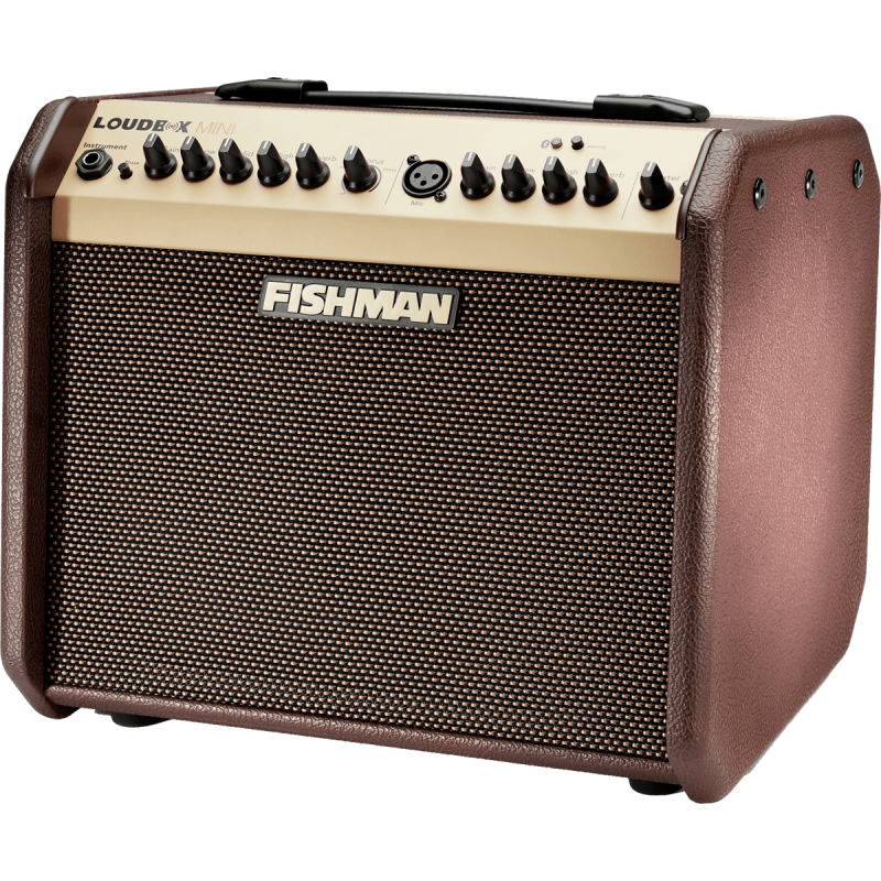 FISHMAN PRO-LBT-500 loudbox mini bluetooth