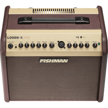 FISHMAN PRO-LBT-500 loudbox mini bluetooth